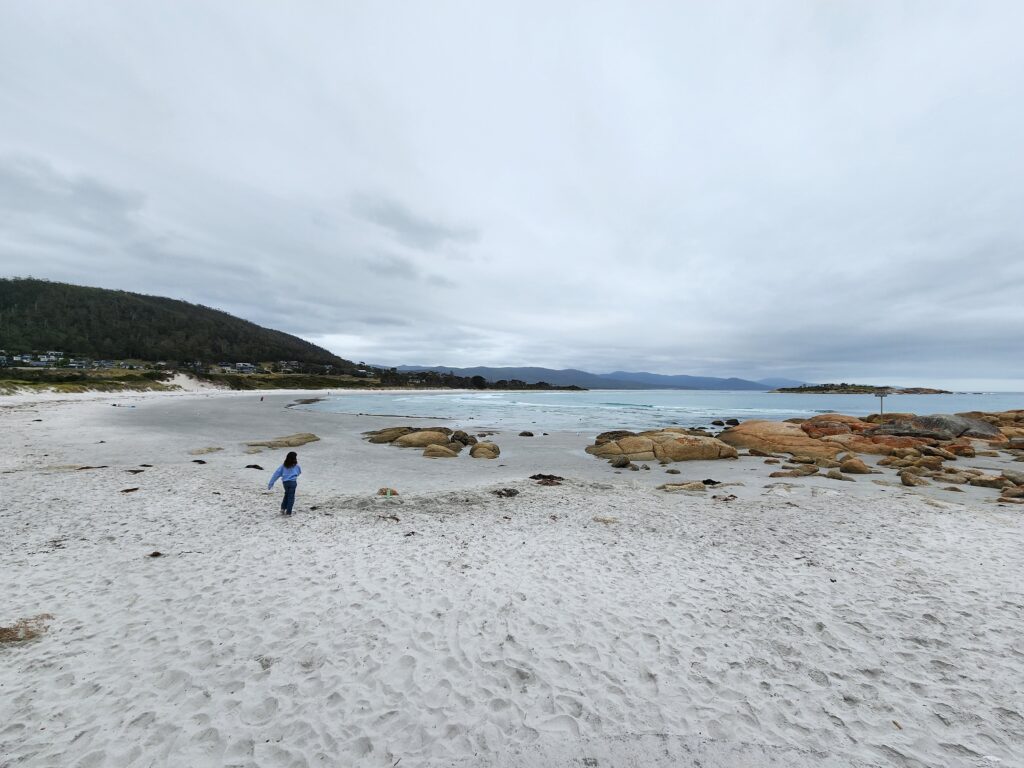 short walks by the beach in Bicheno