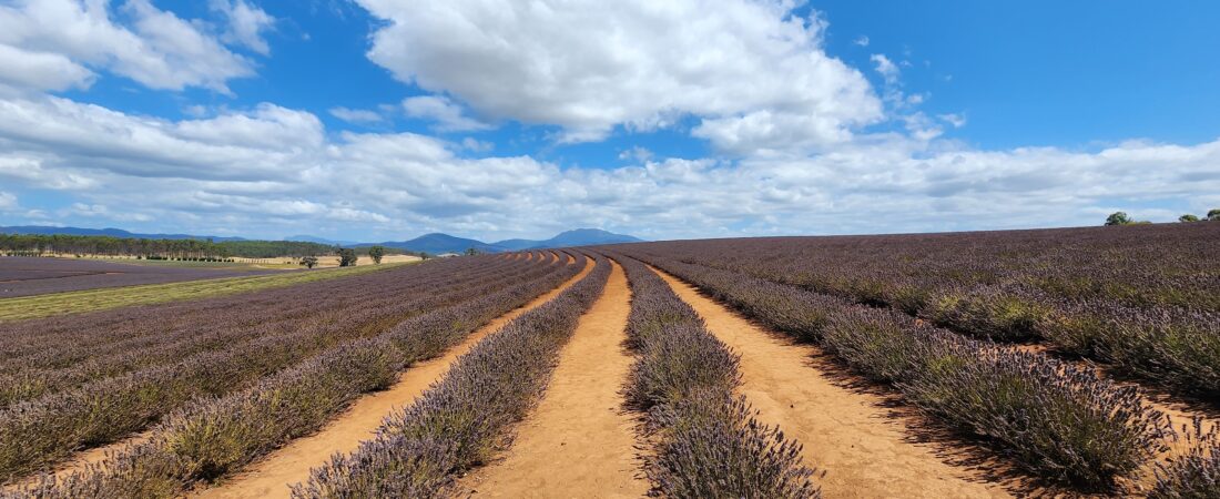 6 Nights in Tasmania With Kids: A Realistic Family Itinerary From Australia