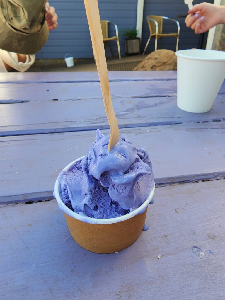 Lavendat icecream in Launceston on a Tasmania Family Road Trip